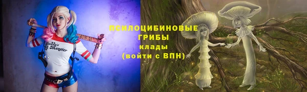 гидропоника Арсеньев