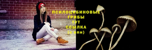 гидропоника Арсеньев