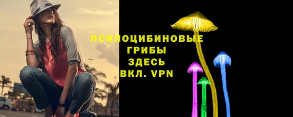 а пвп мука Аркадак