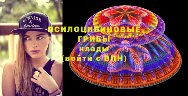 гидропоника Арсеньев