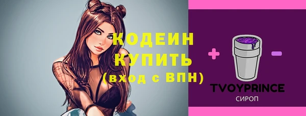 крисы Сосновка
