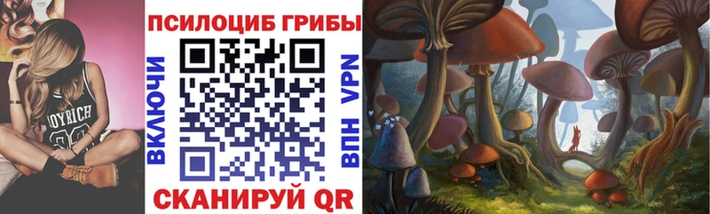 где найти   Судак  Псилоцибиновые грибы мухоморы 